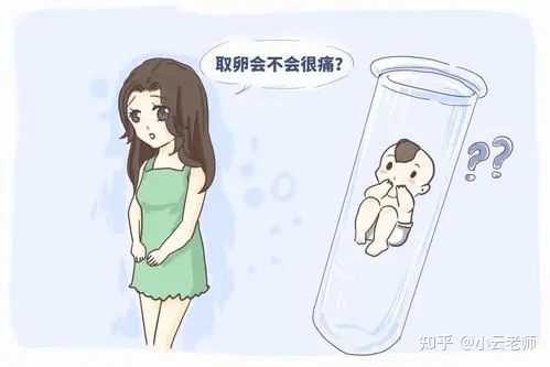 武汉捐卵合同 多囊卵巢切除卵巢,巢之安对卵巢早衰有效果吗和武汉药业, ‘孕