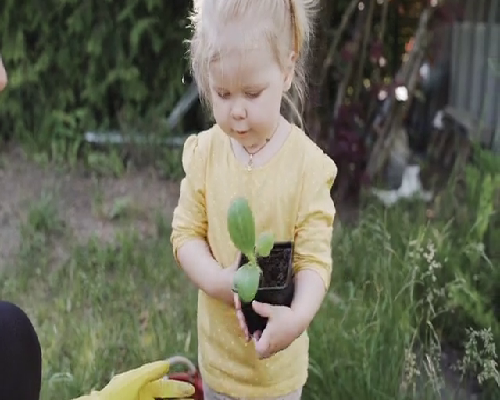 重庆有几家医院包生男孩 重庆供卵试管医院一览： ‘三维彩超图看男女’