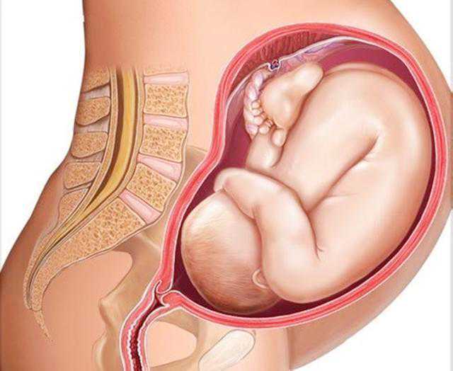 重庆个人找供卵试管 选择重庆私立试管婴儿医院的技巧： ‘酒精测男女准不准