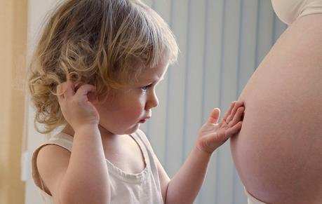 澳洲2026移民配额{澳洲没有迪士尼，但这些有趣的主题乐园值得一探}