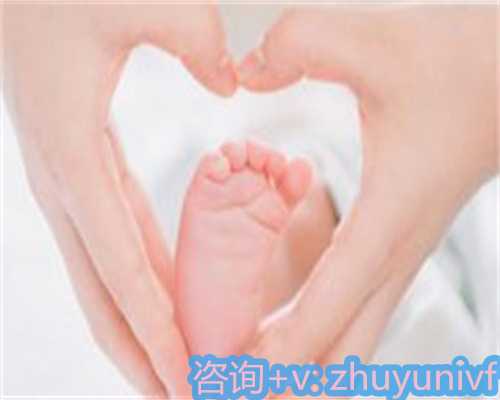 移民的主副申请人澳洲【澳洲移民须知：关于悉尼考驾照那点事】