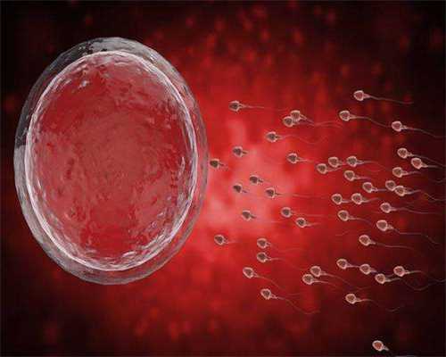 澳大利亚投资移民价格{华人移民澳大利亚定居在墨尔本的真实生活怎么样}