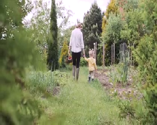 重庆高龄绝经供卵试管 2026重庆供精人授费用一览 ‘孕囊的数值怎么看男女’