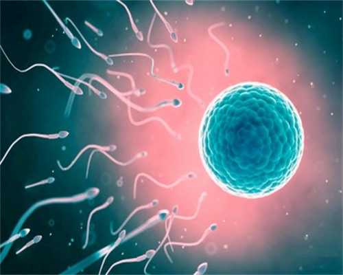 武汉供卵试管的程序 武汉弱精做试管婴儿成功率高吗? ‘彩超男孩女孩图像’