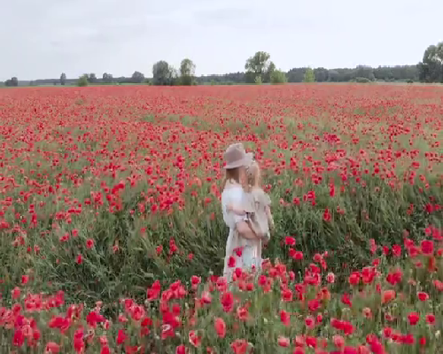 技术移民澳洲专业【澳洲移民部采取多项措施迎接中国游客赴澳】