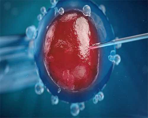 打促排卵针期间同房有哪些注意事项?,代生宝宝机构