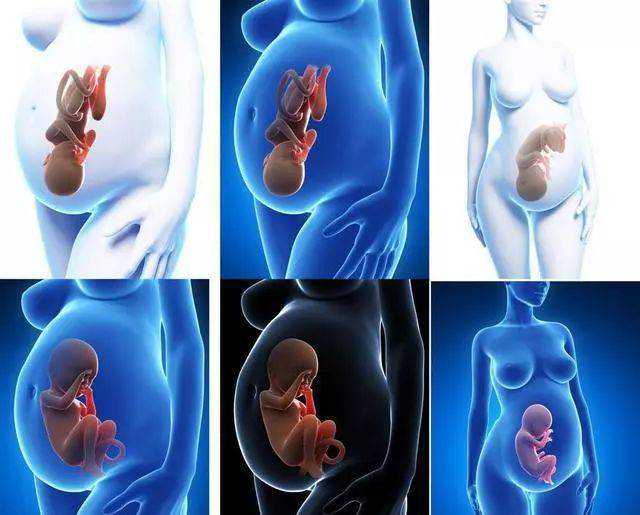 重庆代怀包男孩多少钱 重庆最有名的生殖医院是哪家？有新一代手术吗 ‘20周