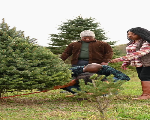 武汉供卵试管生男孩费用多少 武汉三代试管包生男孩价格一览? ‘孕妇几个月照