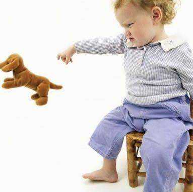 爱德华王子岛移民行吗{【项目资讯】加拿大爱德华王子岛大学-教育学硕士}