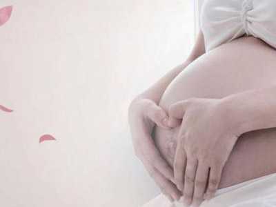 188澳洲移民法案{澳洲没有迪士尼，但这些有趣的主题乐园值得一探}