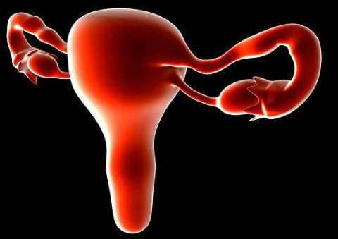 上海澳洲澳洲移民{澳洲投资移民条件是什么,188类签证最新政策2026详解!}