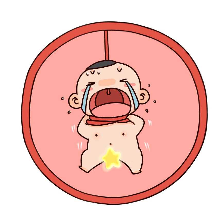 加德国移民（移民德国，新移民就业指南了解一下）