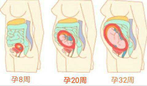 澳洲公债移民{未来五年移民澳洲最有前景的20大职业盘点！}