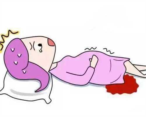 荷兰 博士 移民（移民荷兰，感受佛里斯兰的小镇风光）