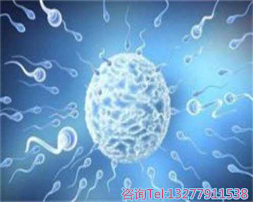 澳洲491移民条件【澳洲移民须知：关于悉尼考驾照那点事】