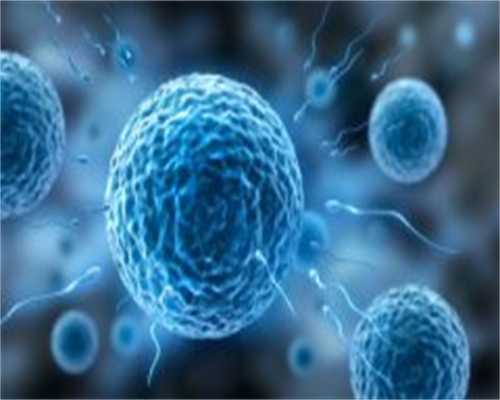 重庆私人试管代生 2026重庆供精人授费用一览 ‘b超三维图片怎么看男女’