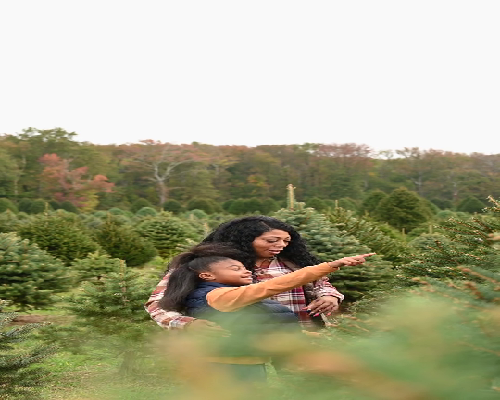 重庆供卵服务中心 2026年重庆妇幼三代试管婴儿成功率高吗? ‘19周的彩超看男女