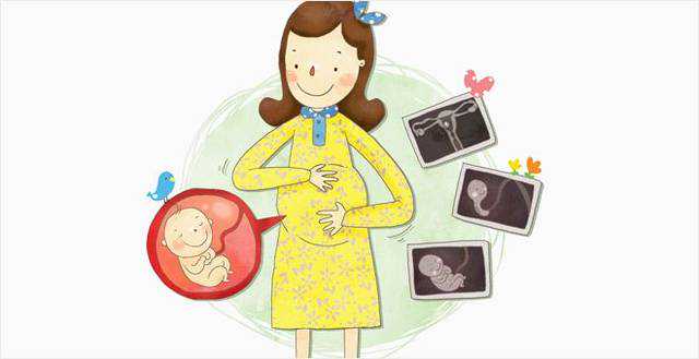 武汉供卵试管生宝宝公司 武汉试管婴儿补贴政策 ‘32周双顶径看男女’