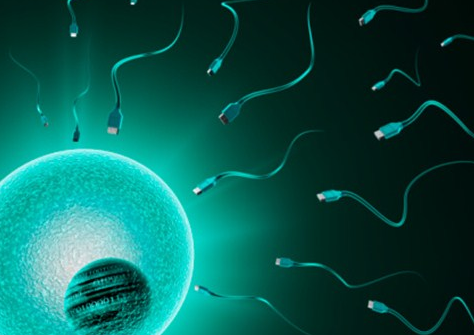 重庆找人代怀孩子 重庆试管婴儿哪个医院做的最好? ‘生孩子男性朋友有必要做