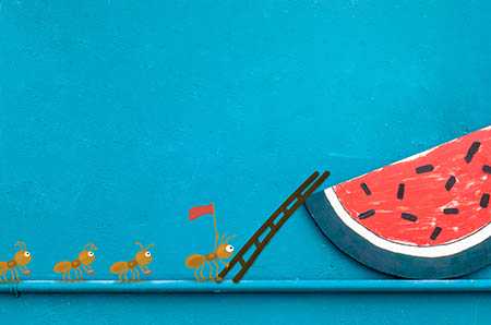 澳洲移民职业清单【一位学前教育老师经历的澳洲雇主担保移民之路！】