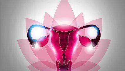 武汉大龄供卵试管 武汉第三代试管婴儿医院费用? ‘b超上面字母看男女’