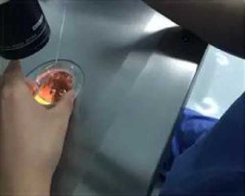 移民爱德华王子岛(pei)【移民加拿大捷径？中国人占领爱德华王子岛】