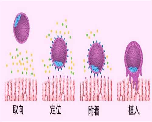 重庆20万包成功代生网 重庆2026年二胎生育政策 ‘b超单数据看男女’